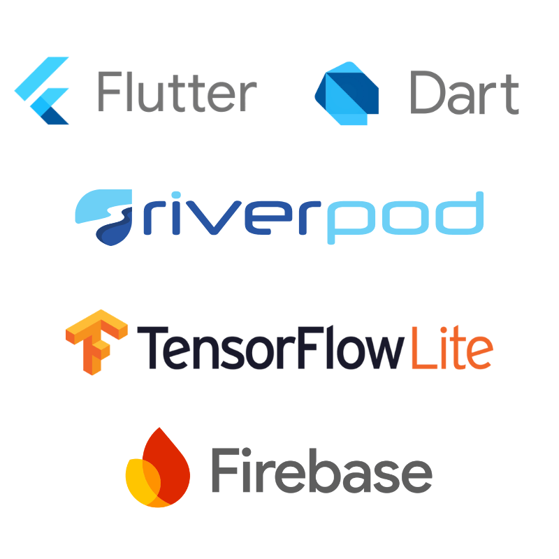 Rehabilitation Mobile App